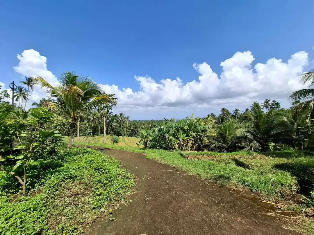 Dijual tanah cantik los sungai dan view sawah di tabanan bali - Image 8 of 10