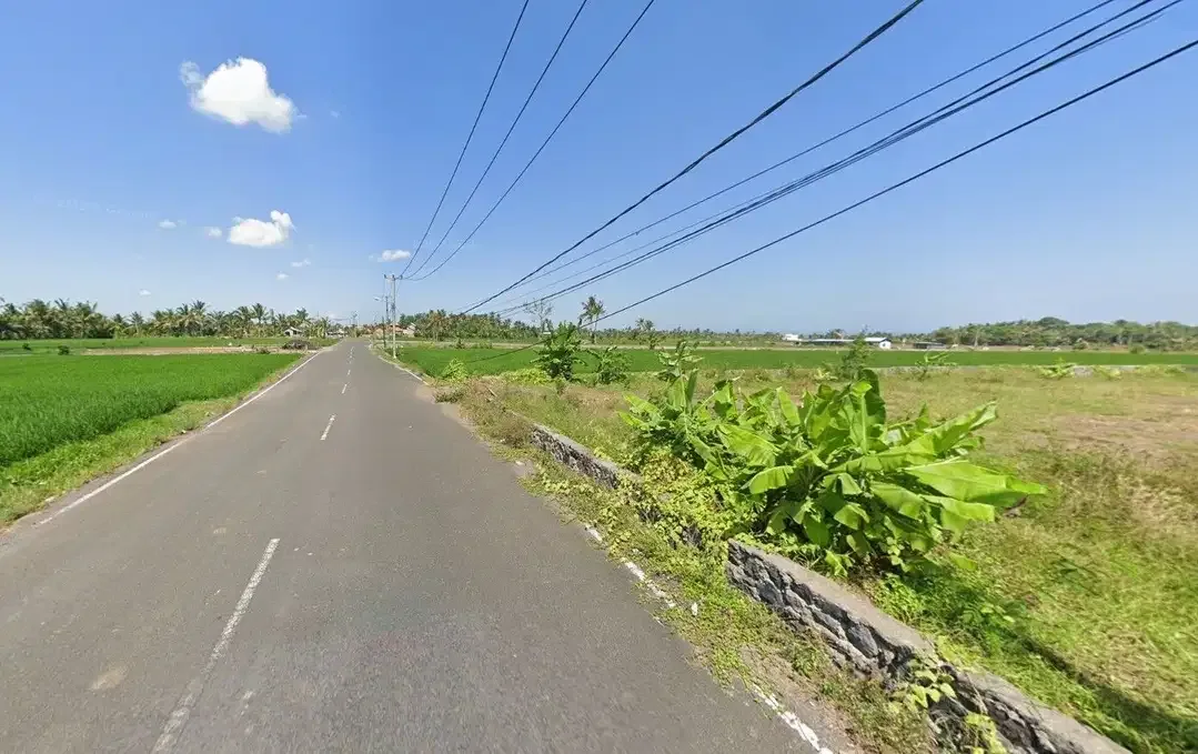 Prime land of 1446 sqm for sale in Pangkung Tibah Beach area, Tabanan - Image 4 of 7
