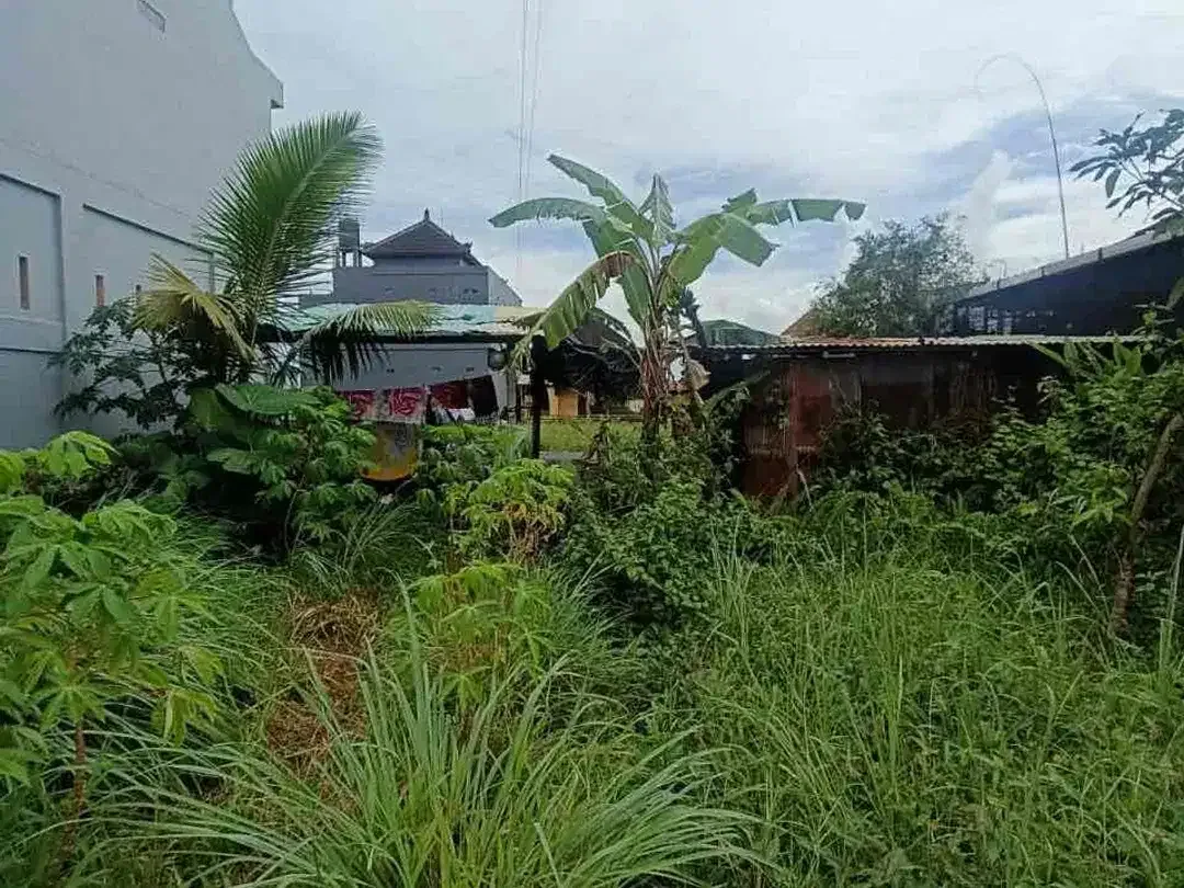 Dijual tanah lokasi di singapadu jalur dekat ke Ubud - Image 1 of 5