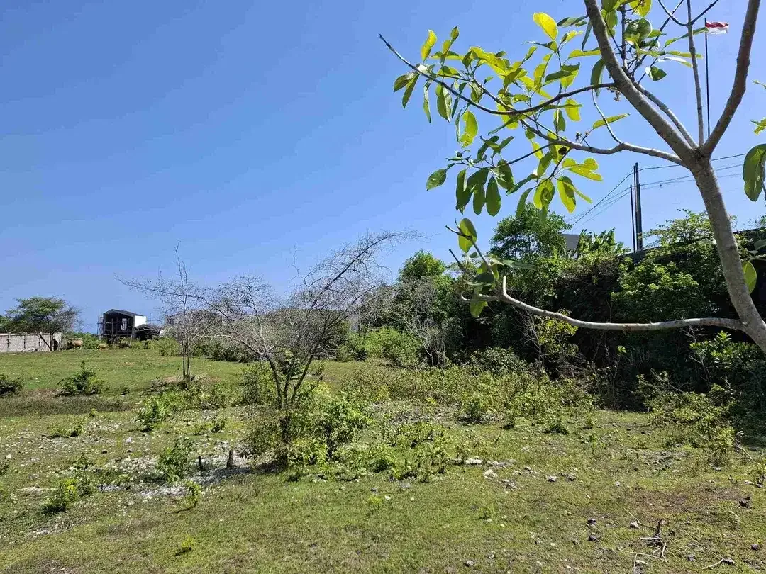 DIJUAL LOKASI UNGASAN TOYANING 2 Jln. Tulip - Image 4 of 5