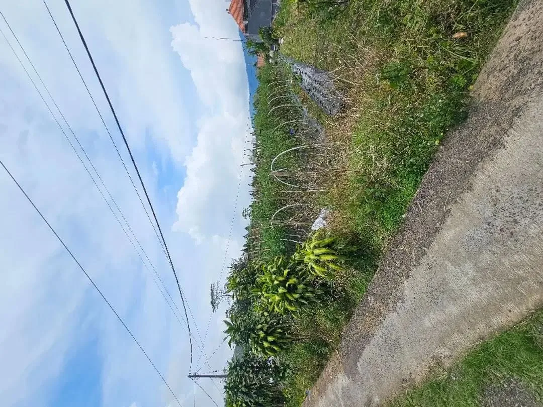Tanah kebun zona residen cocok untuk investasi dan billa - Image 8 of 9