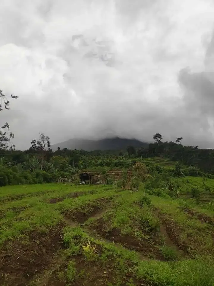 DIJUAL TANAH COCOK UNTUK INVESTASI DI BULELENG - Image 3 of 5