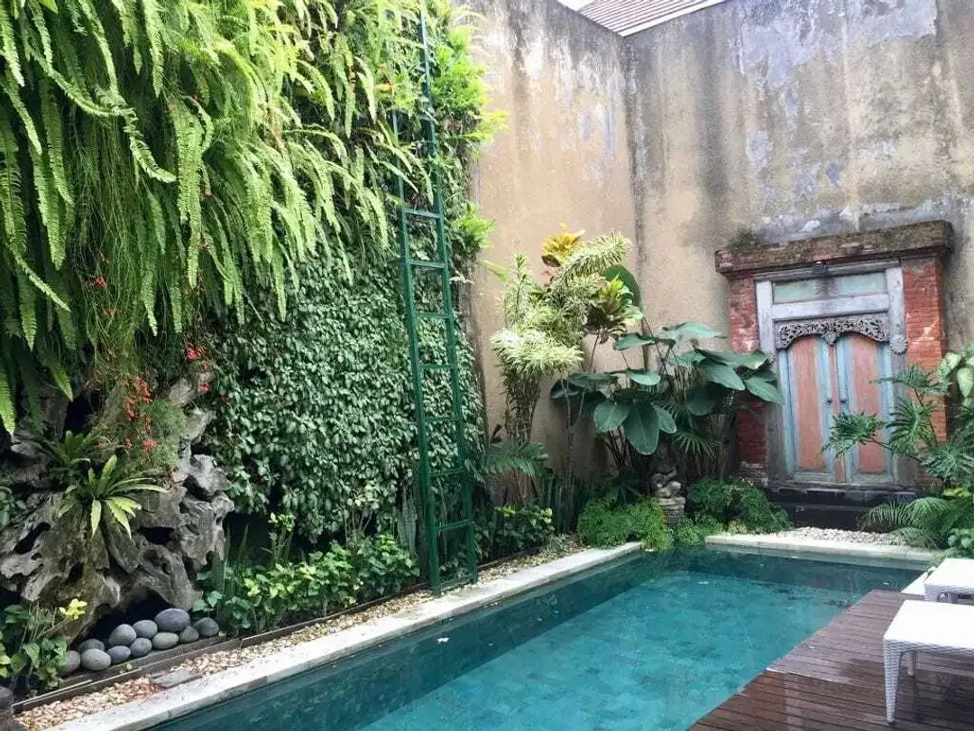 Rumah Mewah Perabot Artistik di Hayam Wuruk Residence Denpasar - Image 10 of 10