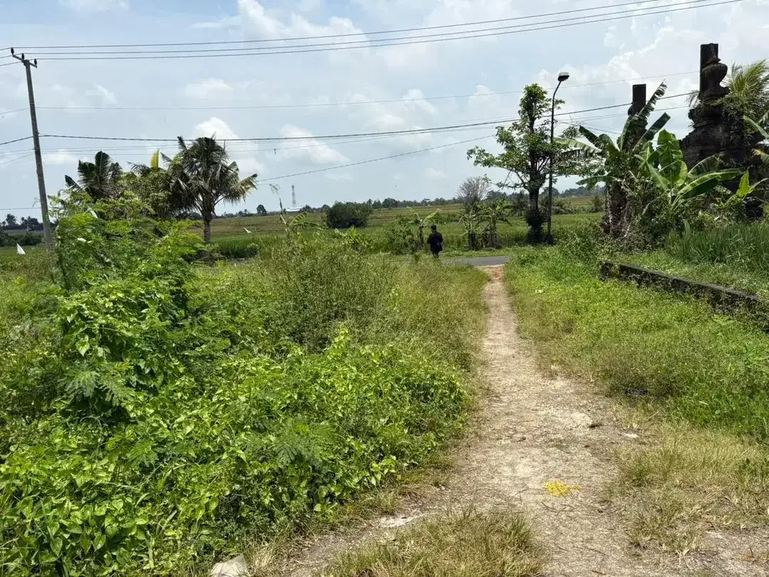 Tanah Kavling 1 Are Murah di Baha Gulingan Mengwi - Image 3 of 4