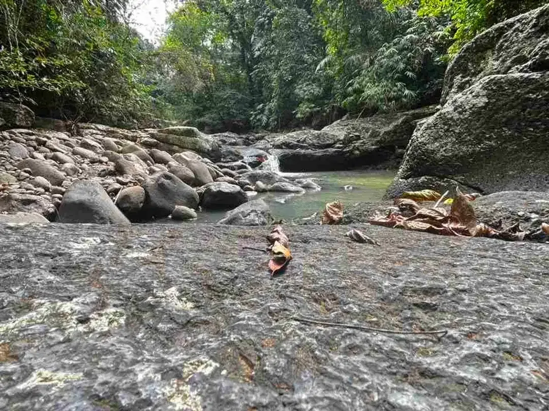 jual tanah kebun view sungai eksotik dan view junggle yang asri di tabanan bali. - Image 10 of 10