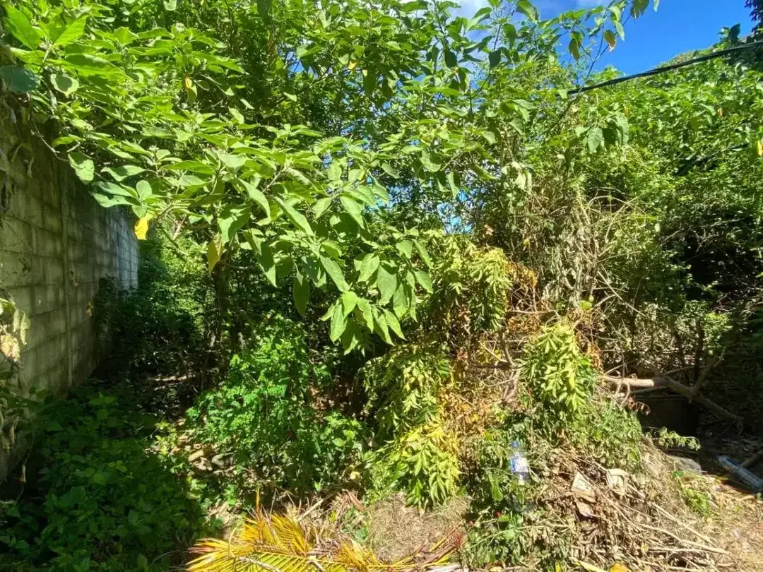 Dijual Cepat Tanah Belakang Sidewalk Jimbaran - Image 4 of 7