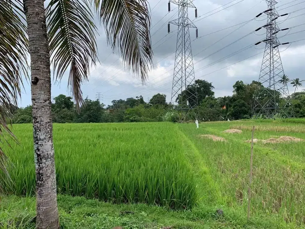 TANAH VIEW SAWAH DAN SUNGAI DI TABANAN - Image 3 of 10