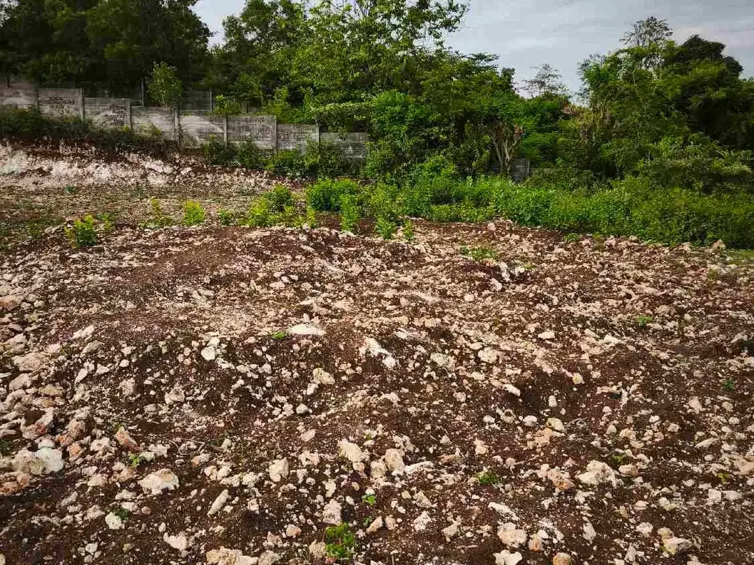 dijual tanah 400m² IDR 650 jutaper are dekat rektorat kampus unud jimbaran - Image 3 of 10
