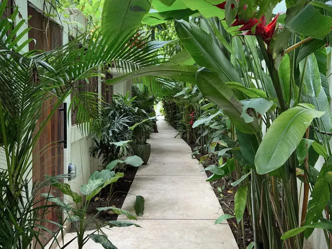 Leasehold - Stylish 8-Unit Villa Complex - Top Investment in Canggu, Bali - Image 8 of 10