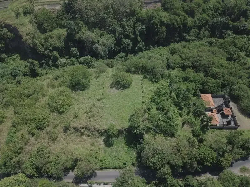 2875 m2 LAND FOR SALE IN KEMENUH UBUD BALI - Image 2 of 6