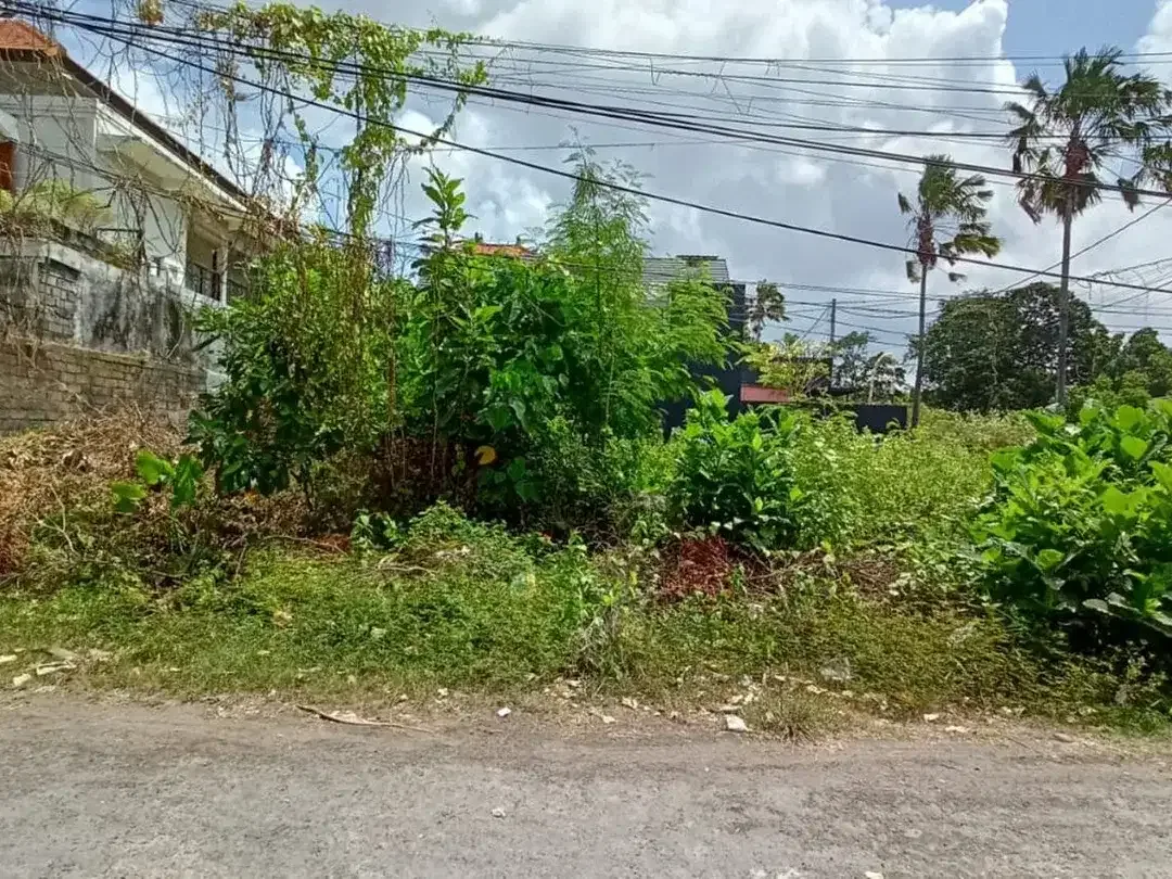 Freehold - Rare Opportunity Land in Strategic Location Seminyak - Image 3 of 6