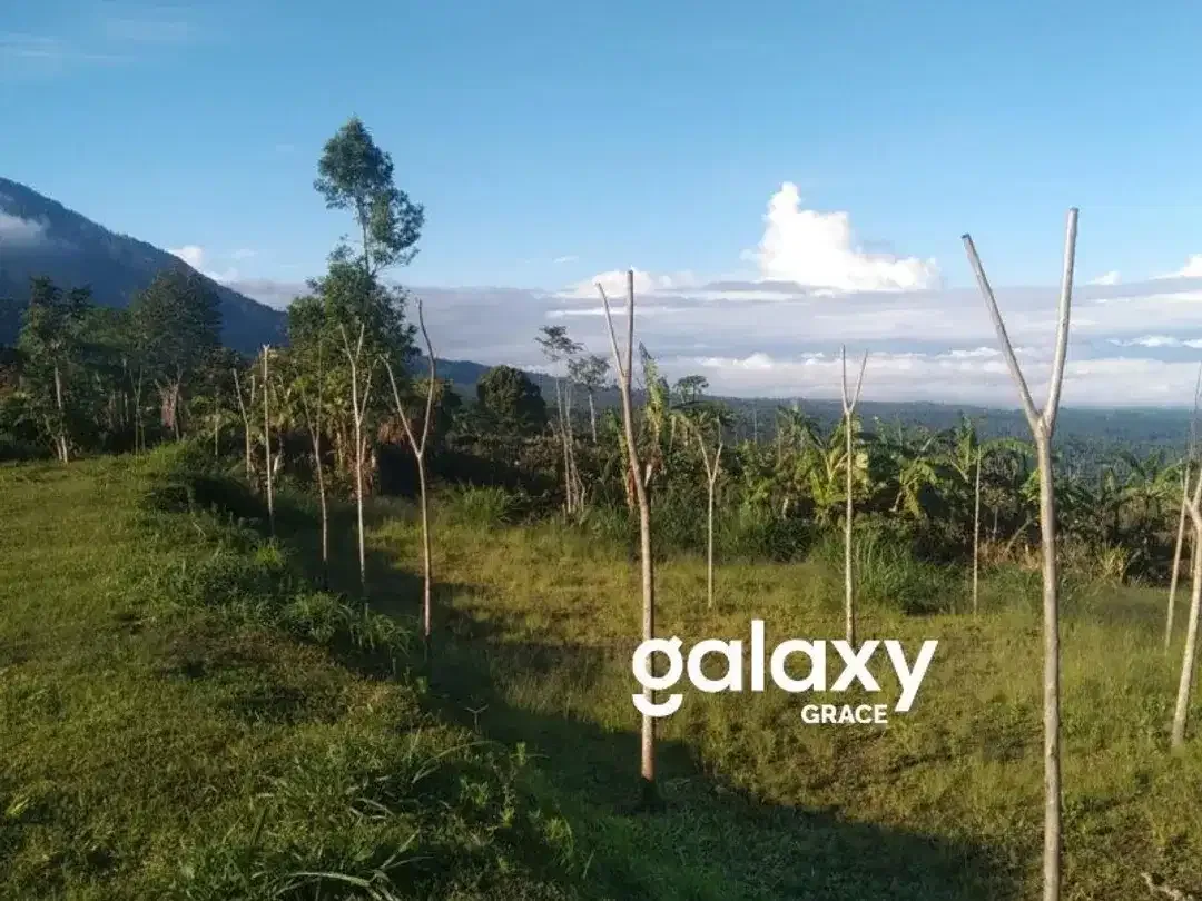 LAND FOR SALEDANAU TAMBLINGAN – MUNDUK - Image 5 of 10