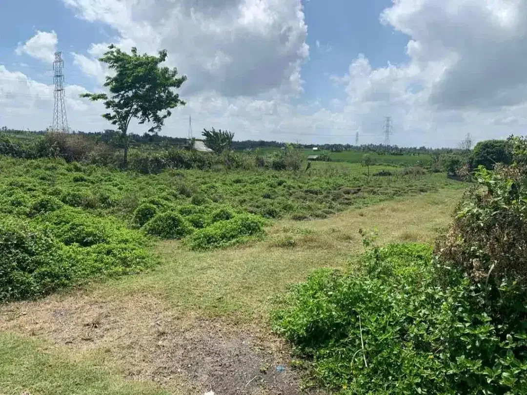 Dijual Tanah Dekat Ke Pantai Kelecung Tabanan - Image 1 of 7