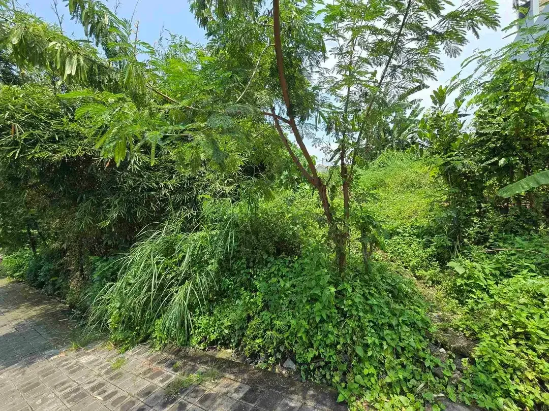 DIJUAL TANAH CANGGU PADANGLINJONG - Image 9 of 9