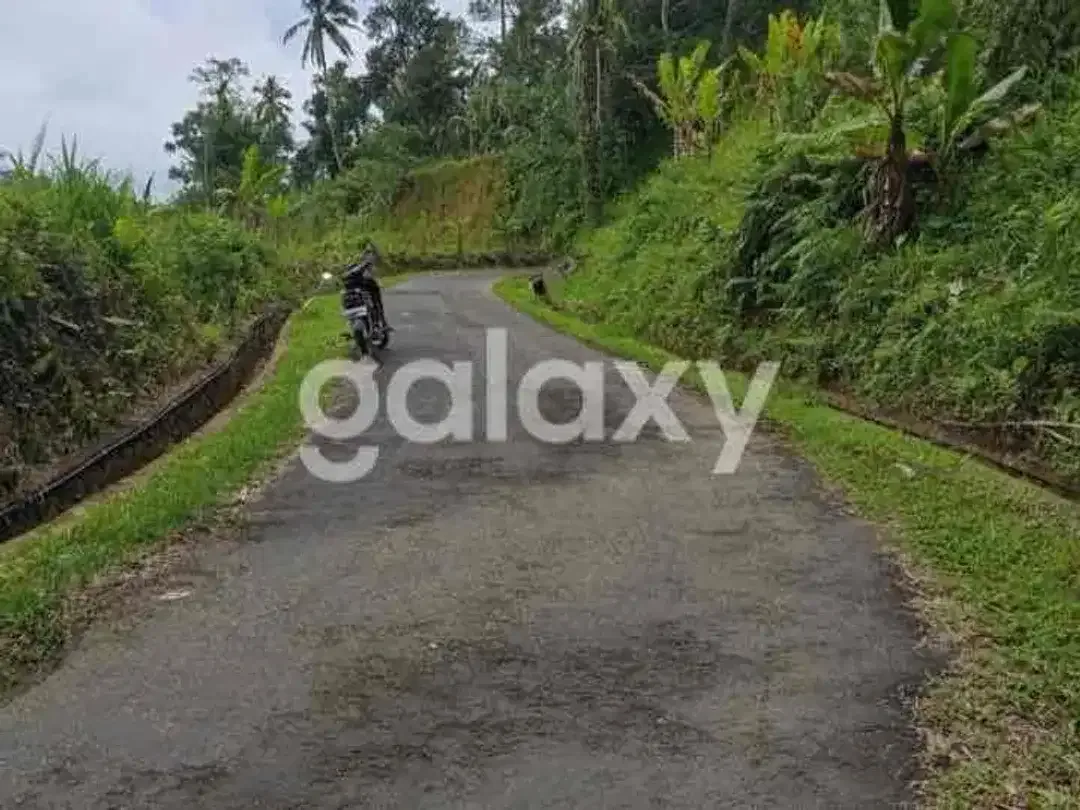 DIJUAL TANAH DAERAH PETANG BADUNG BALI - Image 7 of 9