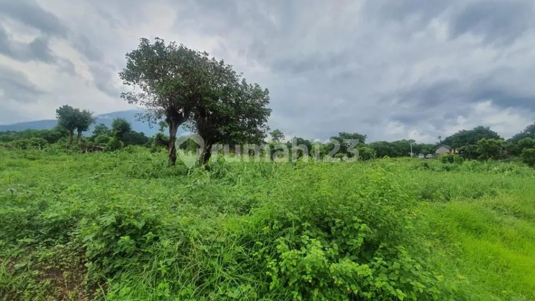 Dijual Tanah Karang Asem Tulamben Bali Dekat Dengan Spot Diving - Image 4 of 4