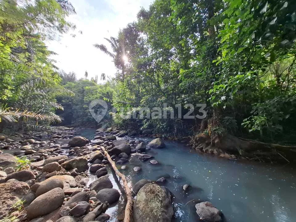 Dijual Tanah Los Sungai Bebatuan Murah Dekat Villa.di Tabanan Bali - Image 1 of 4