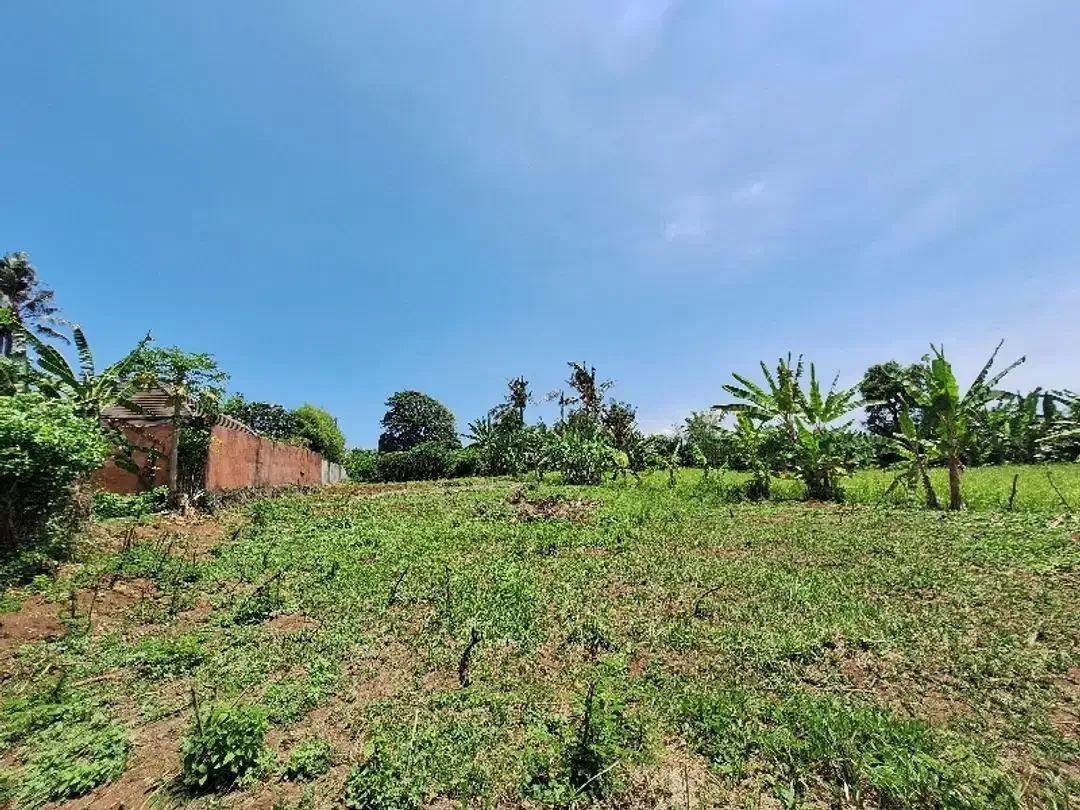 Tanah Disewakan atau Dijual  Dekat Pantai di Permata Pering - Saba - Image 8 of 10