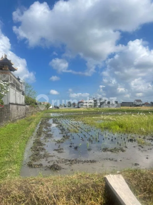 Tanah, 3170M2, Shm,Di Jalan Pantai Seseh Cemagi - Image 1 of 4