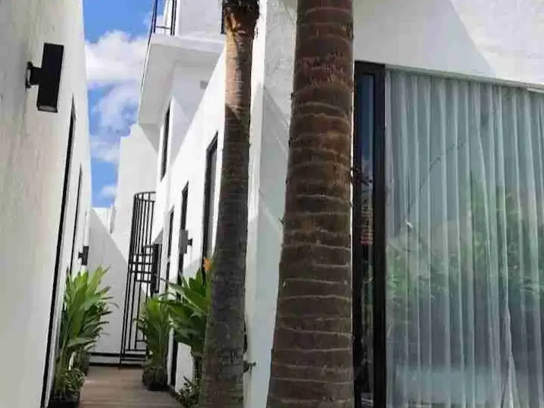 Guest House Murah Semat Berawa Canggu - Image 3 of 10