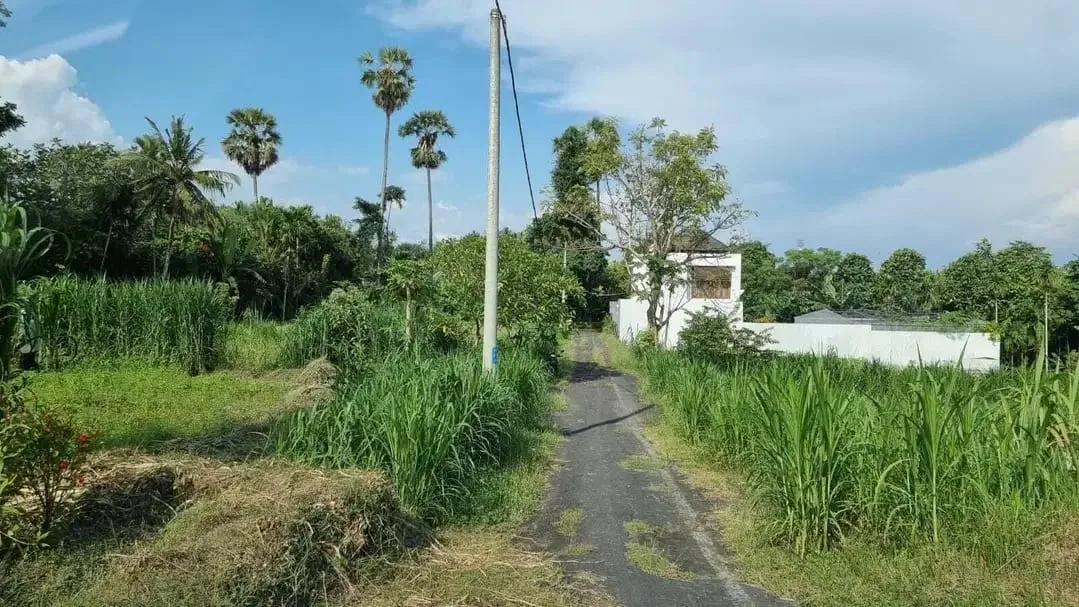 Jual tanah 17,5 are pantai saba cocok villa - Image 5 of 10