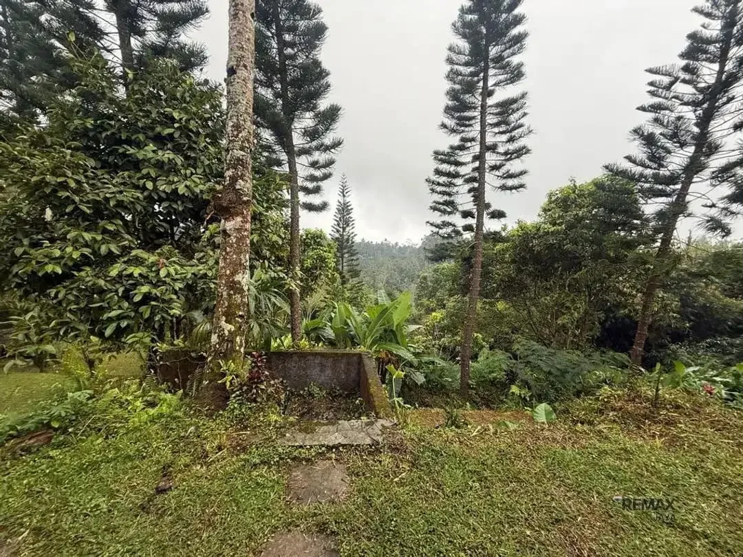 Tanah 36,5 Are View Sunrise Gunung Agung Dijual di Sebatu, Gianyar - Image 4 of 5