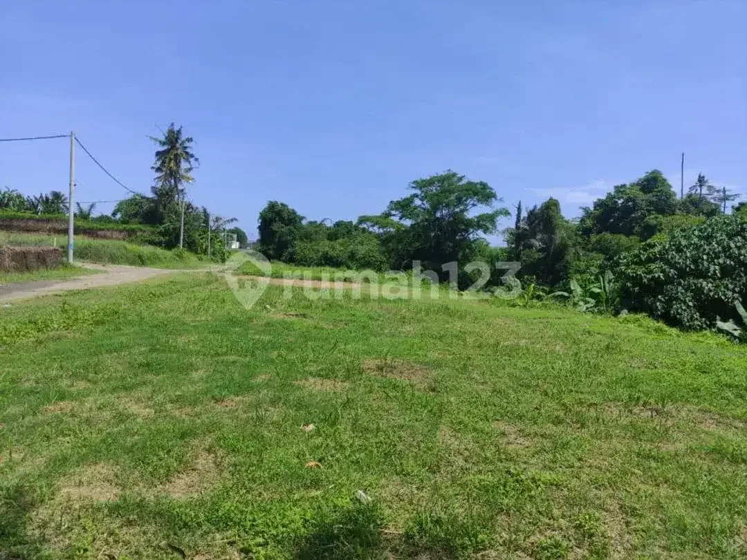 Dijual Cepat Tanah Pinggir Jalan Utama Investasi Komersial di Gianyar - Image 10 of 10