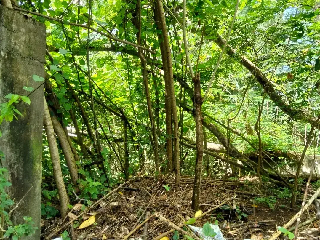 Land for sale in Uluwatu, Bali - Image 5 of 5