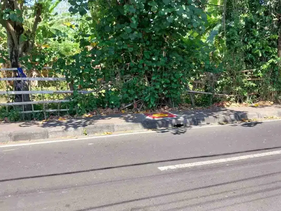 Tanah 75 Are untuk Bisnis Pariwisata di Area Kedonganan Jimbaran, jalan kaki ke Pantai - Image 6 of 10