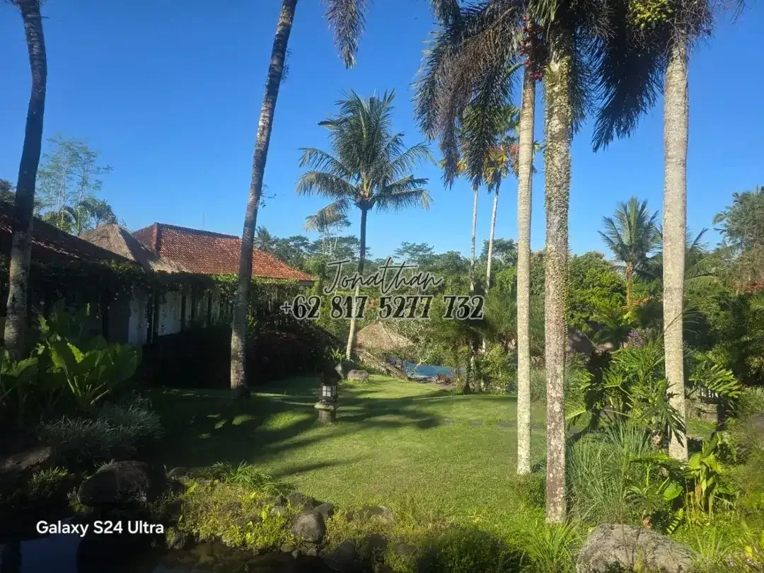 VILLA MEWAH VIEW GUNUNG DAN HUTAN LAHAN LUAS DI PERBATASAN PAYANGAN UBUD - VSRE - Image 9 of 10