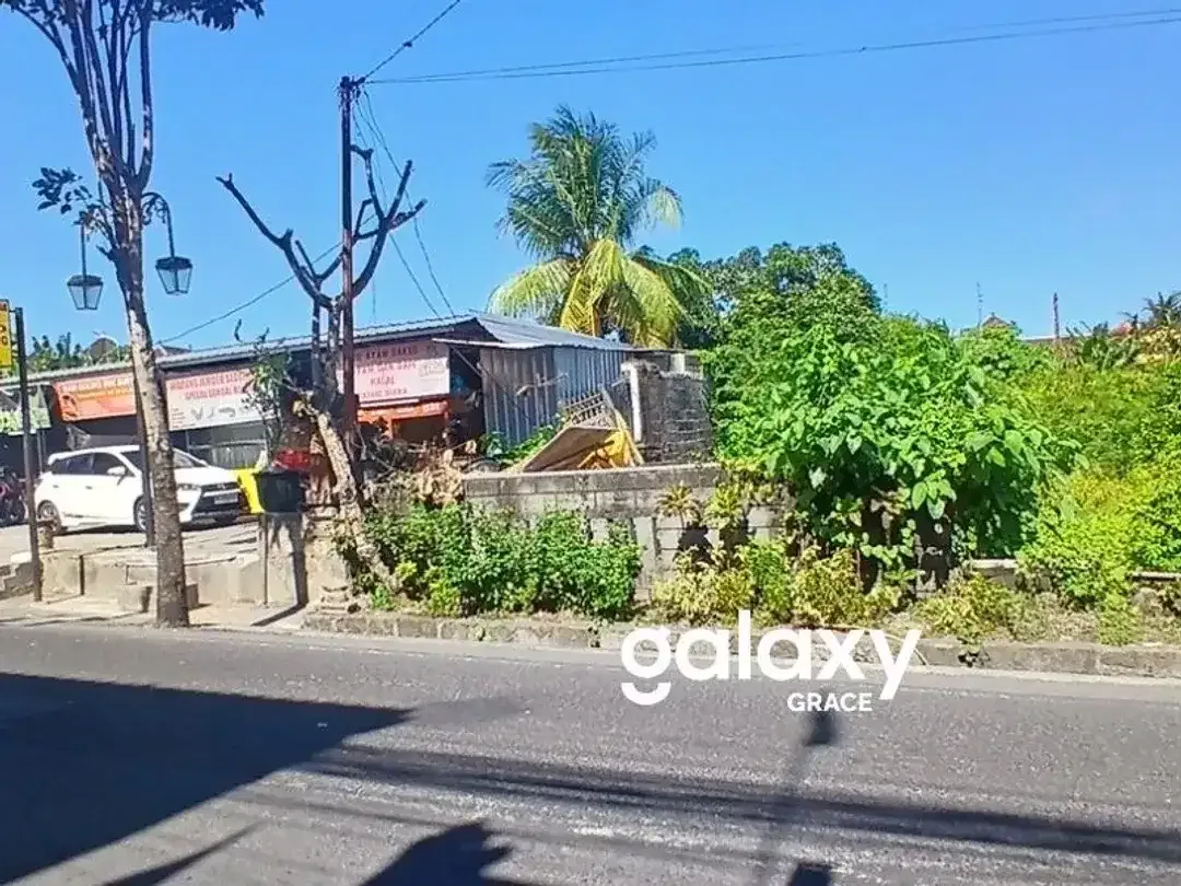 DIJUAL TANAH DI RAYA PADONAN CANGGU BADUNG - Image 4 of 8