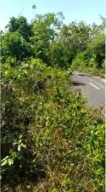 Leased Land 16 acres at Tukad Selatan Ungasan - Image 8 of 10
