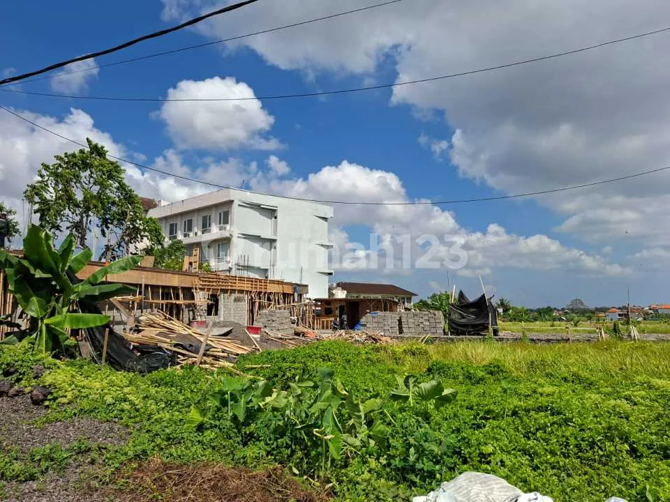 Dijual Tanah SHM Hadap Timur di Cokroaminoto, Akses Jalan 6 Meter - Image 2 of 4