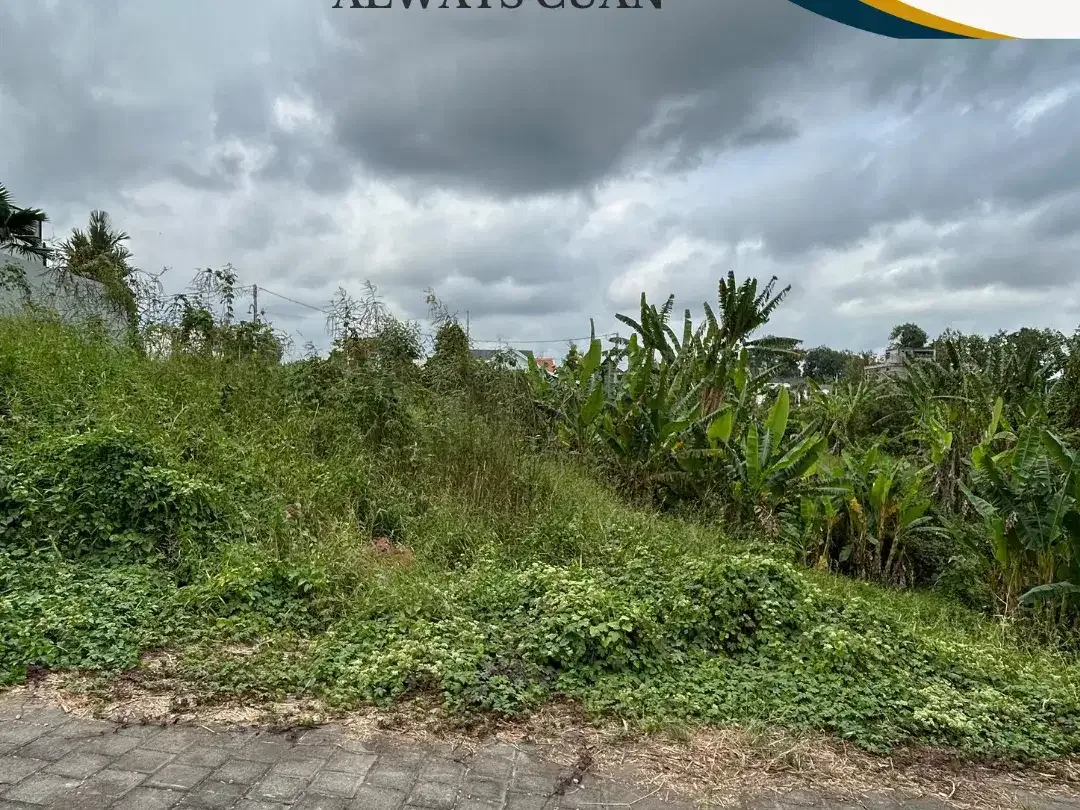 DIJUAL TANAH MURAH TABANAN – FULL VIEW - Image 1 of 6