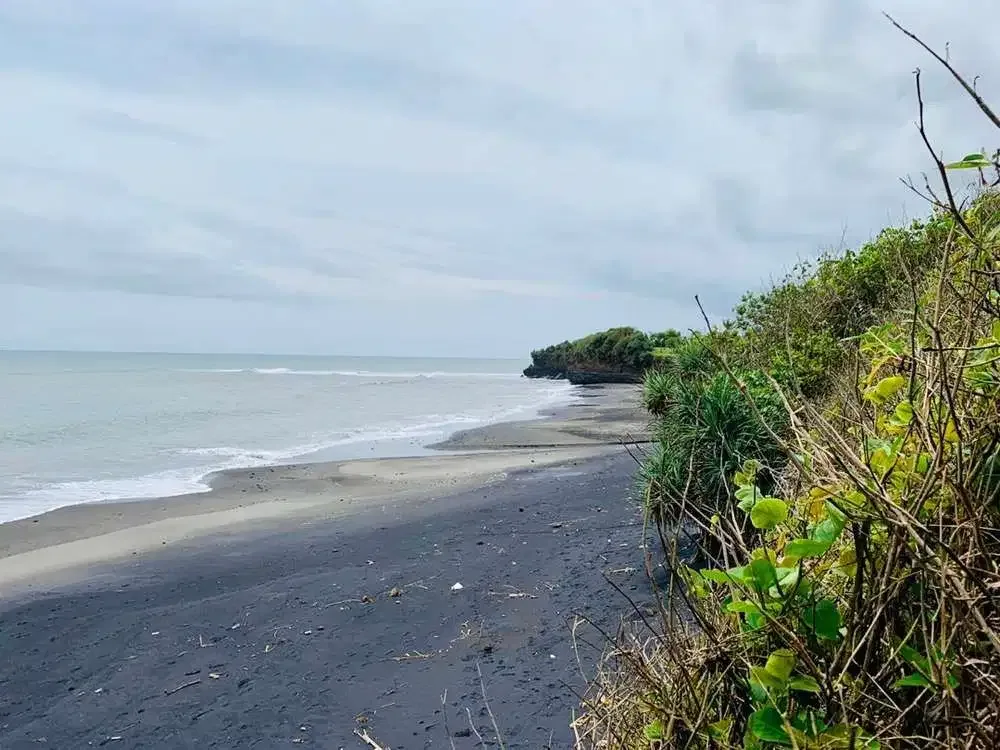 TANAH STRATEGIS PINGGIR PANTAI NYANYI - Image 7 of 10