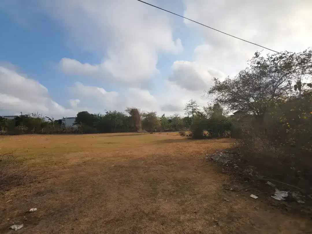 tanah di ungasan, pecatu, 200 meter dari jalan utama, kawasan yang berkembang pesat - Image 3 of 8