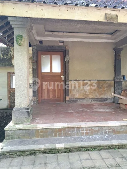Rumah Pejeng Kelod Ubud Dikontrakan - Image 1 of 4