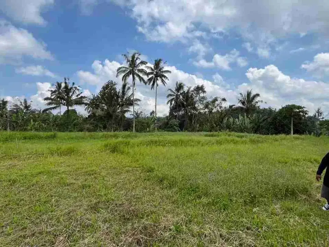 jual tanah flat datar di tabanan bali. - Image 4 of 10
