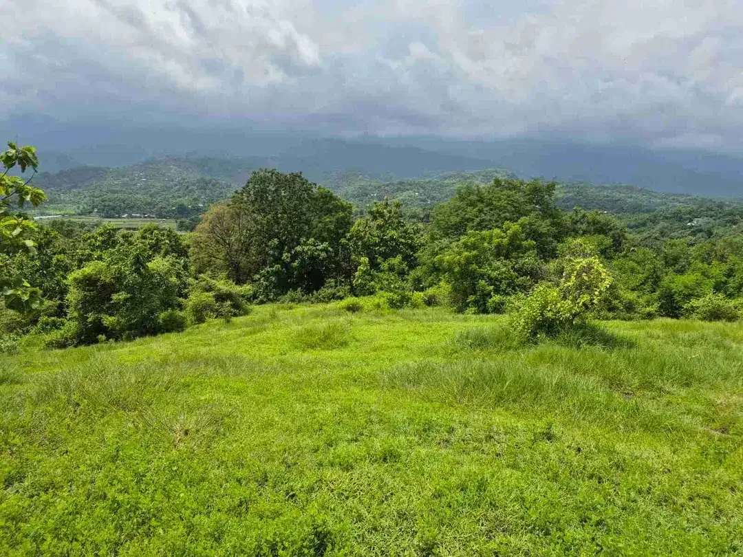 9350 M2 FREEHOLD LAND FOR SALE IN PANGKUNG PARUK SERIRIT BULELENG NORTH BALI - Image 9 of 10