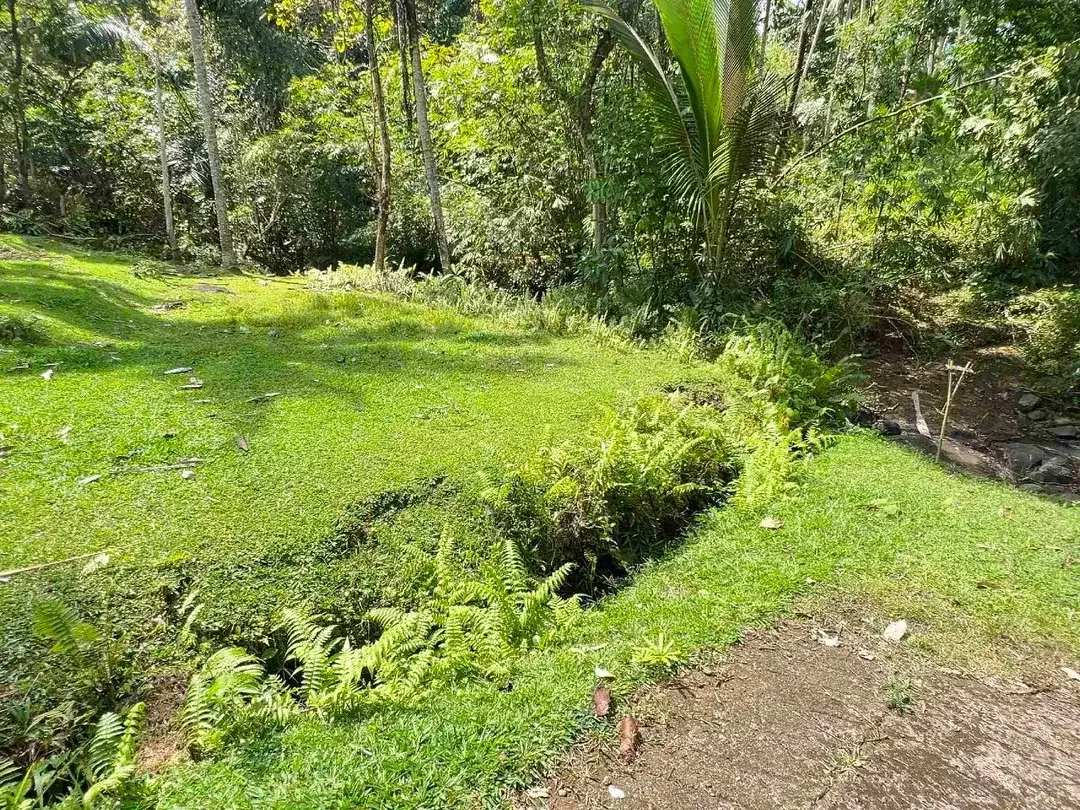 jual tanah Los sungai cantik di kawasan villa di desa manikyang tabanan bali. - Image 9 of 10