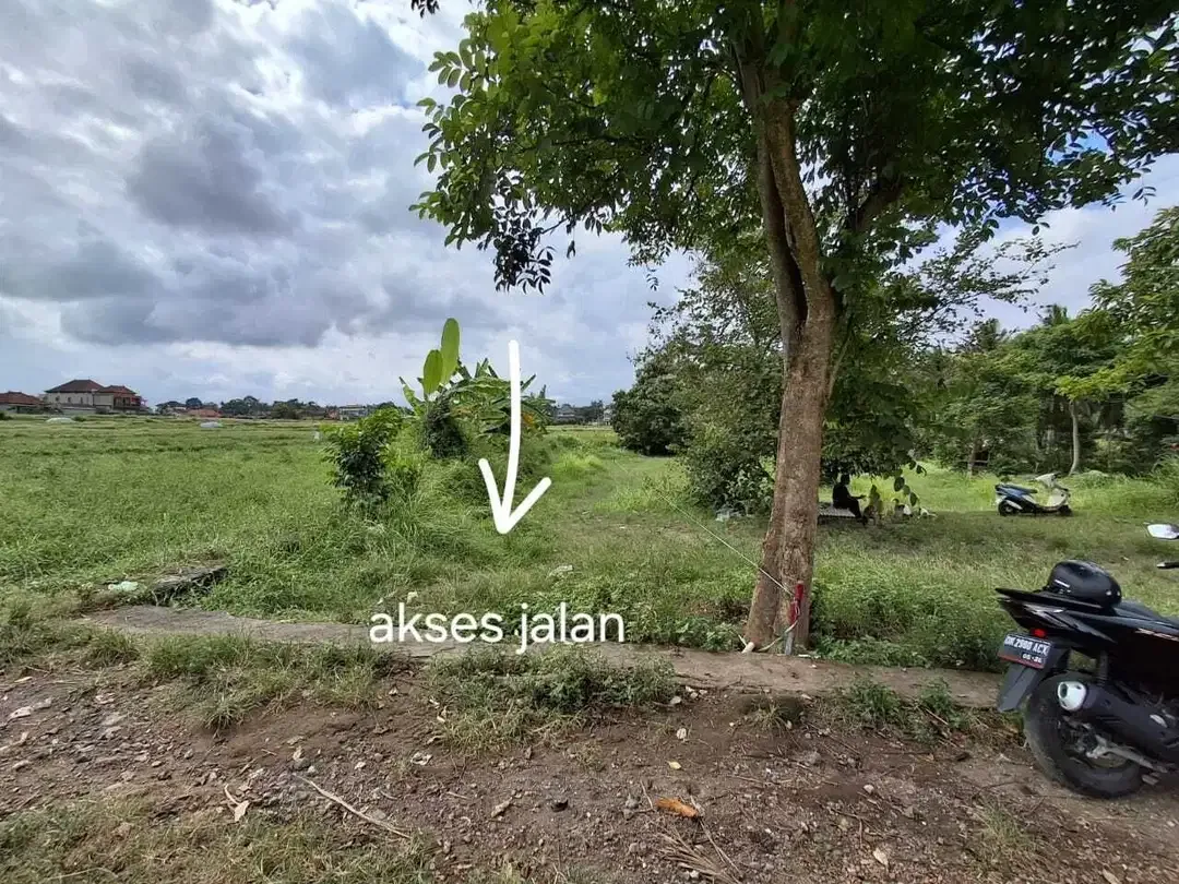 Dijual Tanah 23 are di daerah ubud - Image 9 of 9