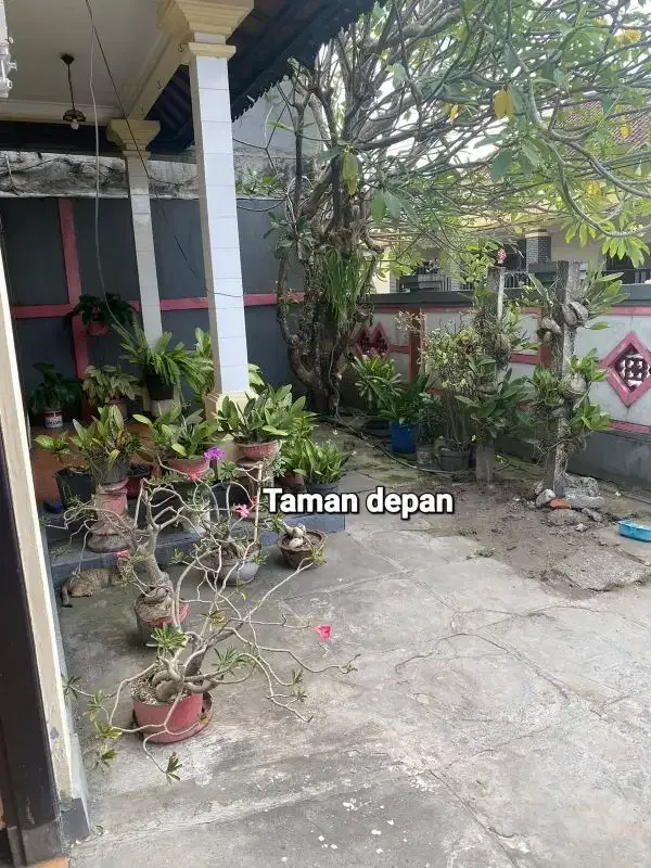 Jual rumah 195m2 di TANGKUBAN PERAHU  dkt gn.agung Dps - Image 9 of 10