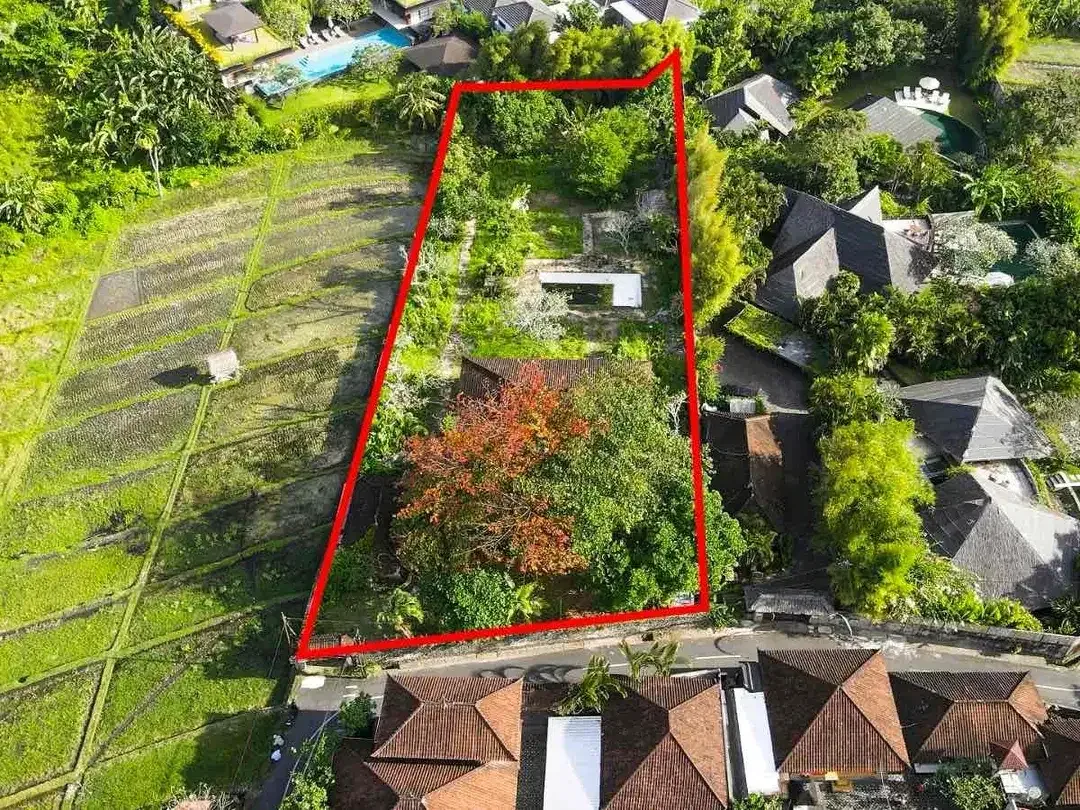 Tanah PREMIUM View Sawah Jl Umalas Kuwum Kerobokan - Image 3 of 10