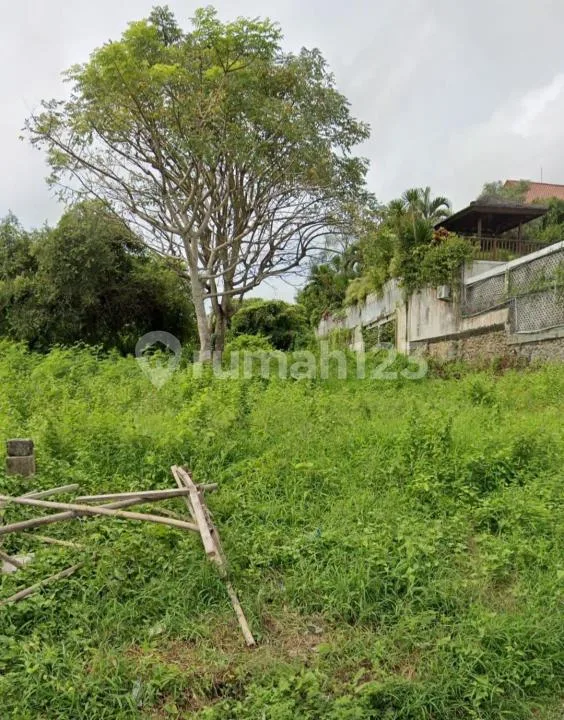Dijual Lahan Super Top Tundun Penyu Balangan Bali - Image 3 of 4