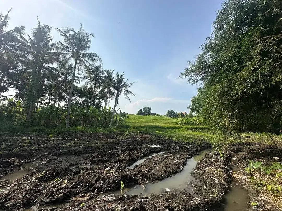 Freehold - Startegic and in By Pass Tanah Lot - Image 5 of 8