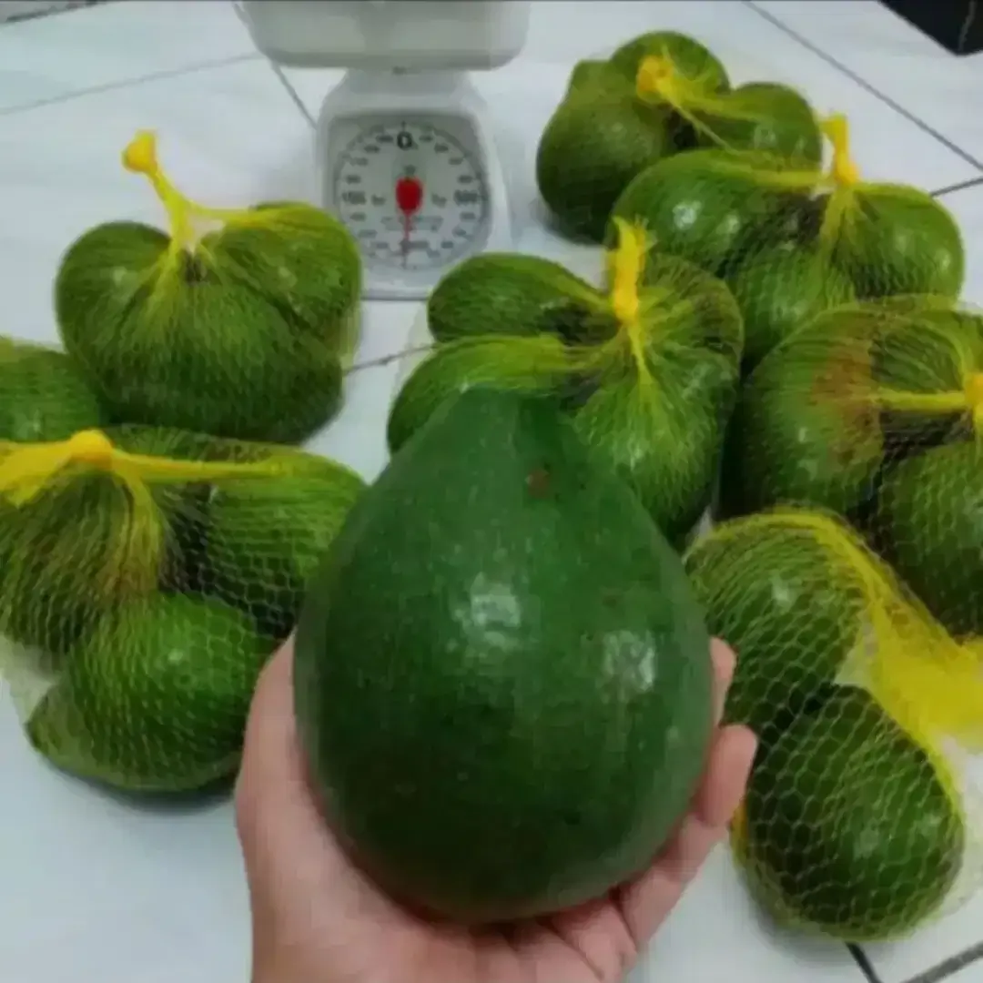 Jaring buah multifungsi murahh - Image 6 of 6