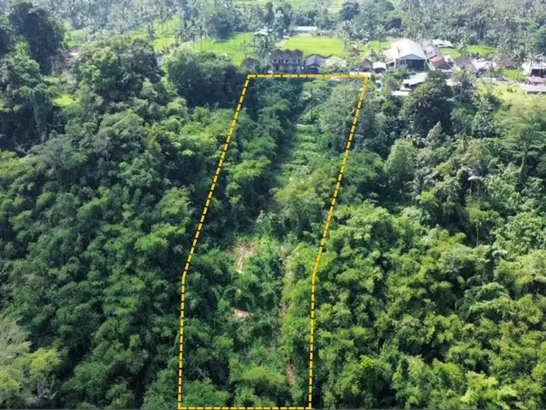 Tanah Lokasi Strategis Sebatu Ubud - Image 9 of 9
