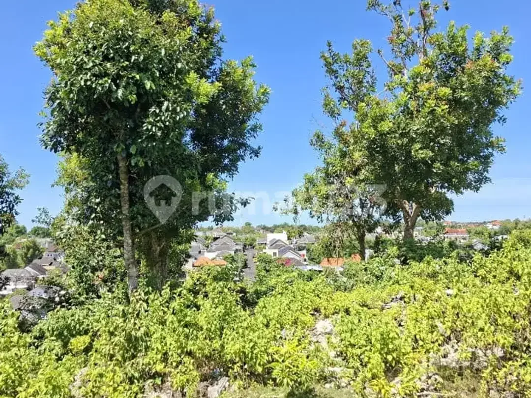 Land For Lease For A Villa Complex On Jl. Melang Kaja, Kutuh - Image 4 of 5