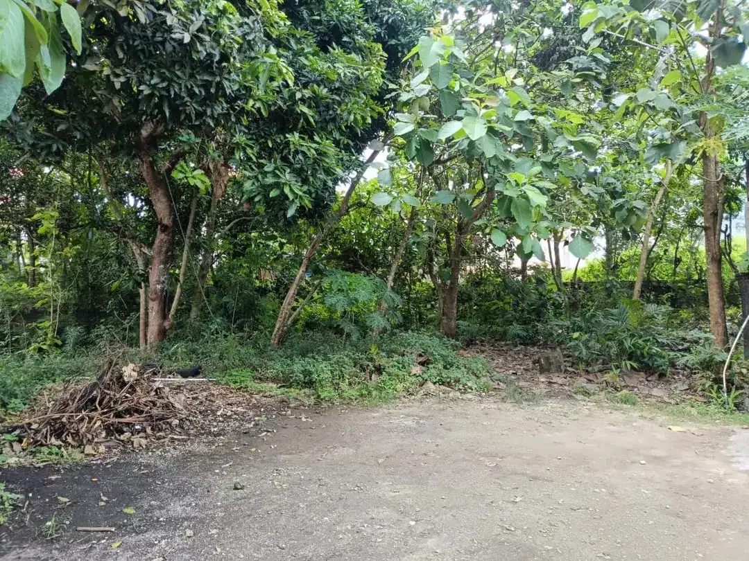 Dijual MURAH! Tanah 630m2 SHM Cocok Untuk Rumah Kos di Nusa Dua - Image 4 of 10
