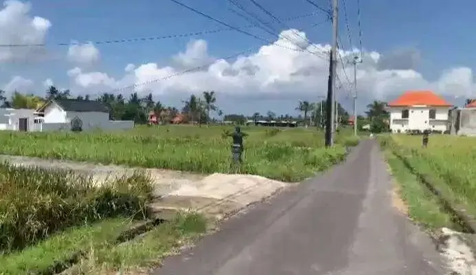 Dijual Tanah View Sawah Dekat ke Central Ubud - Image 4 of 6
